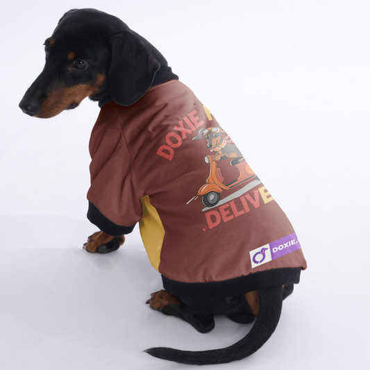 Sophie - Jacket for Dachshunds