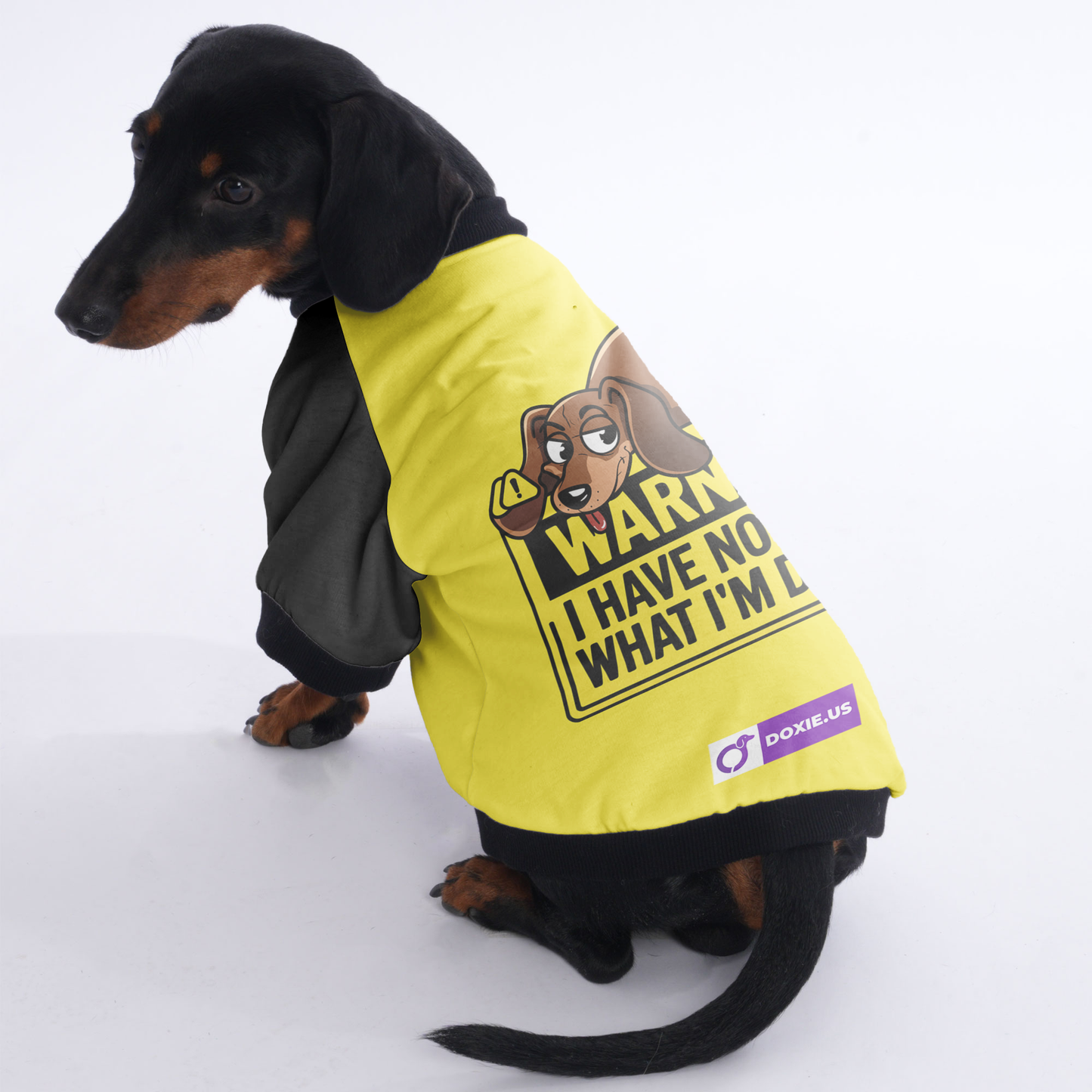 Frankie - Jacket for Dachshunds