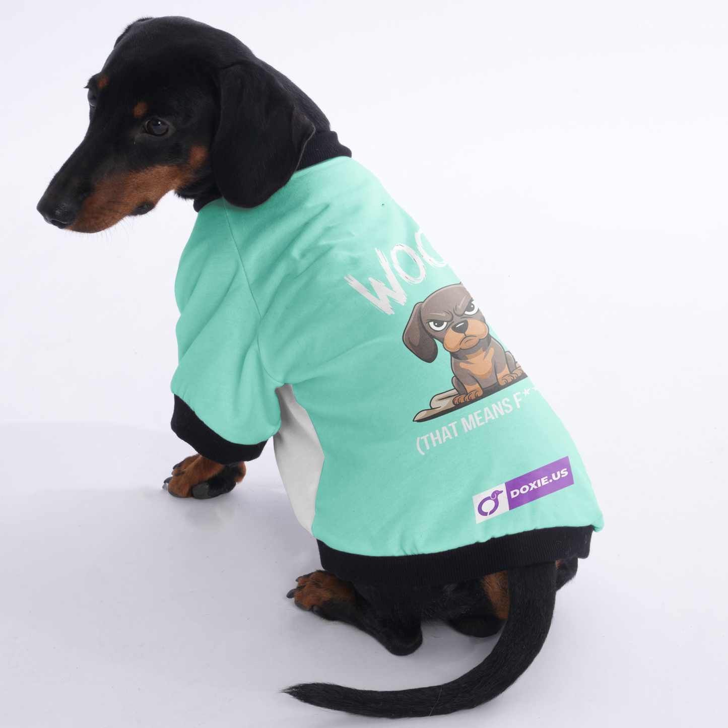 Ruby - Jacket for Dachshunds