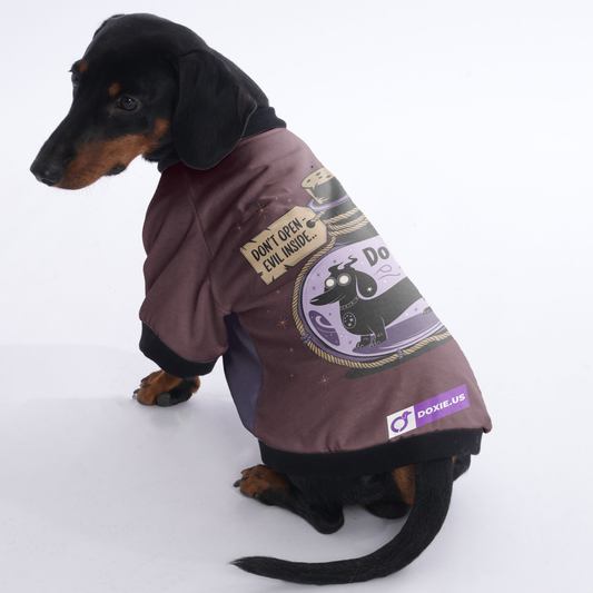 Scout - Jacket for Dachshunds