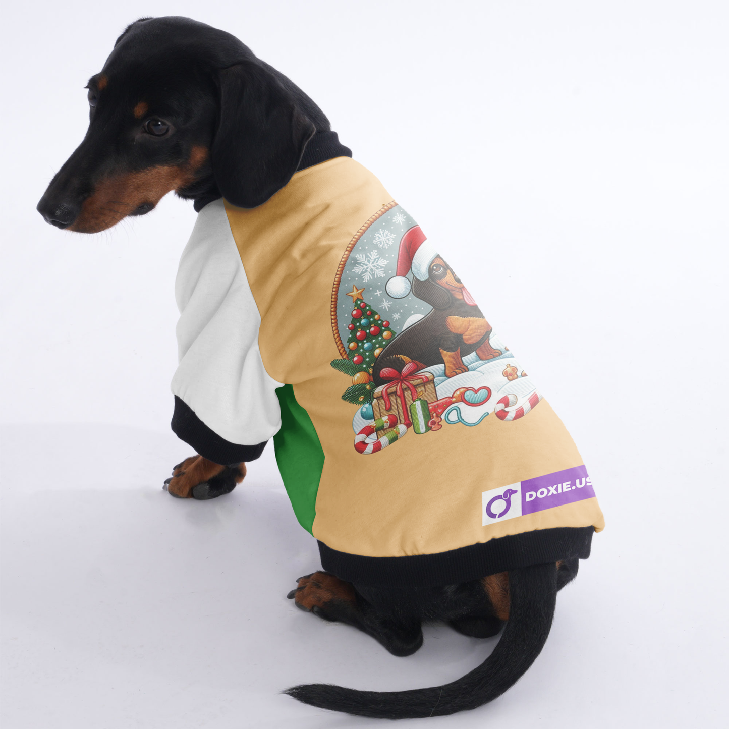 Coco - Jacket for Dachshunds