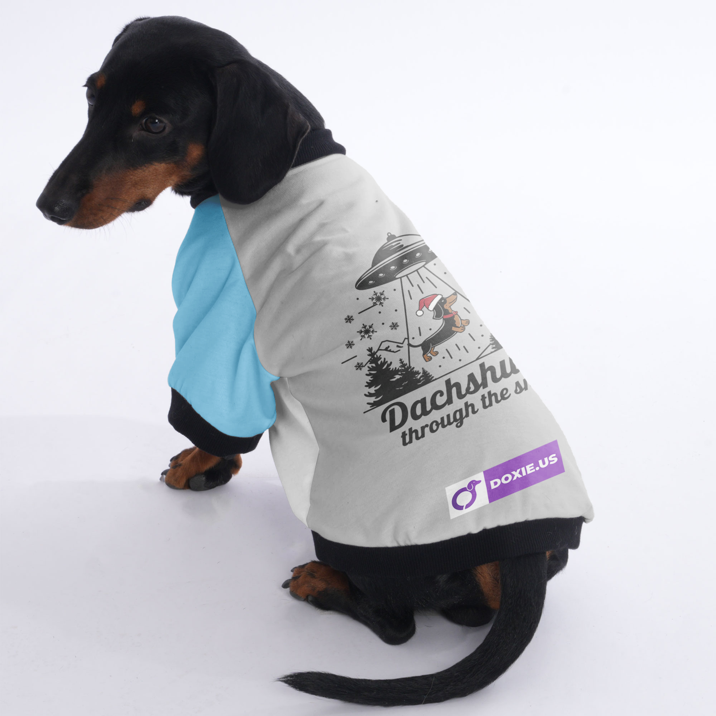 Milo - Jacket for Dachshunds