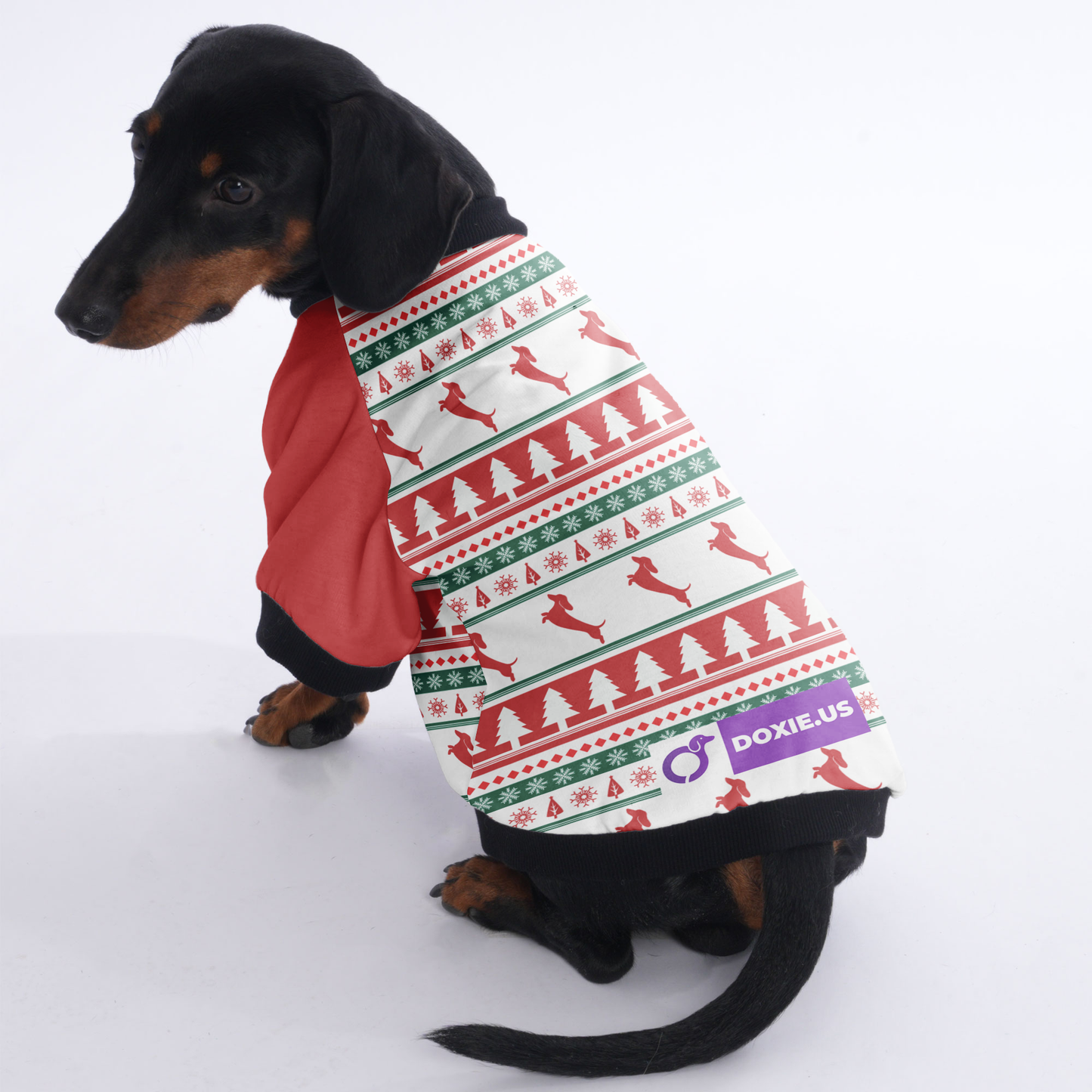 Tyler - Jacket for Dachshunds