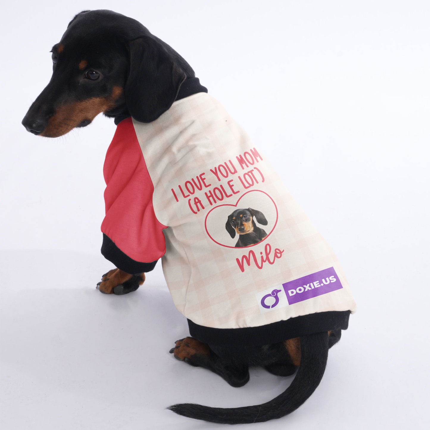 Dachshund Jacket Customized with Your Pet's Name and Picture