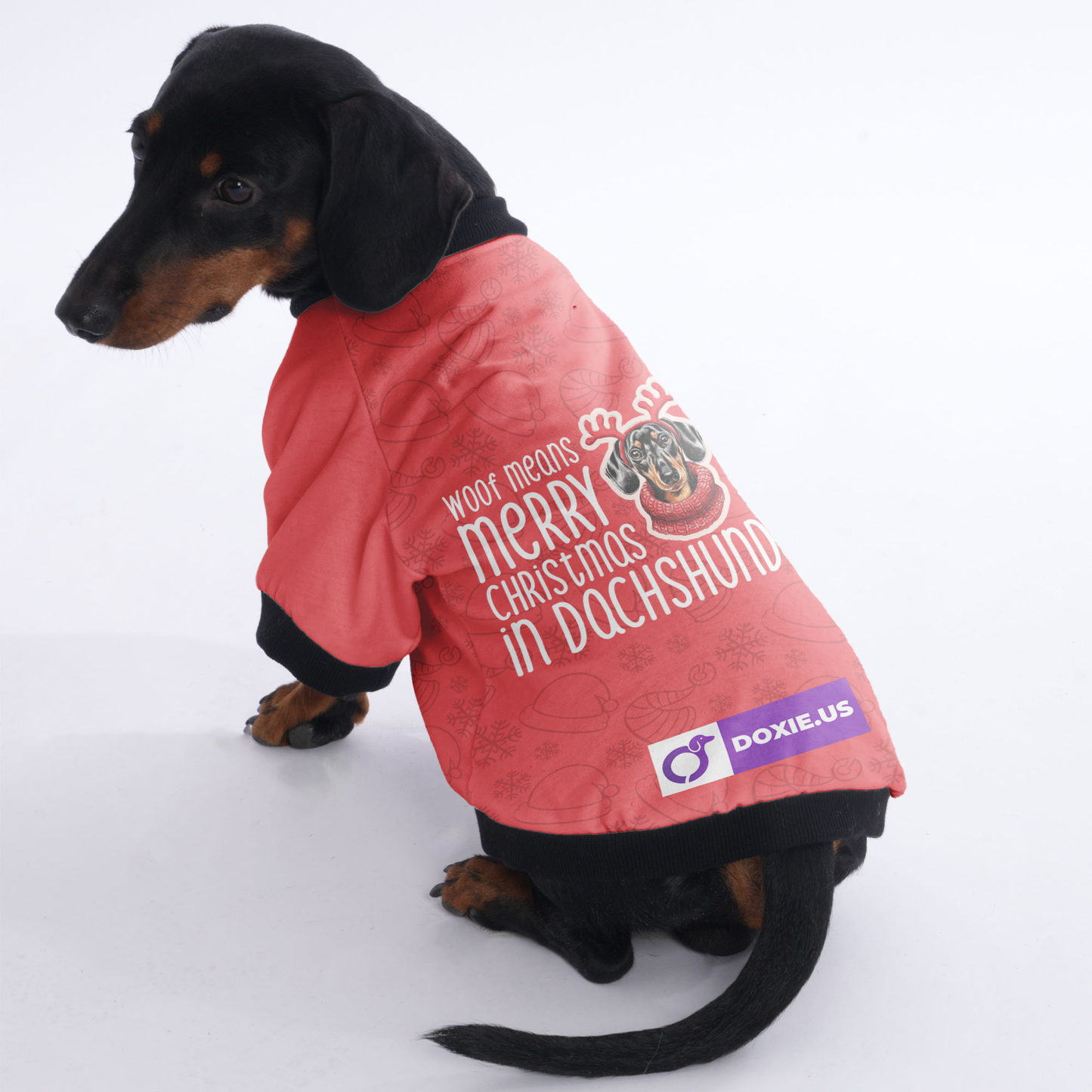 Woof means Merry Christmas in Dachshund - Jacket for Dachshunds