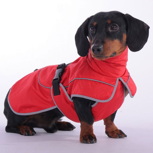 www.doxie.us-StormSafe-Dachshund-Winter-Jacket-Ultimate-Warmth-and-Rain-Protection