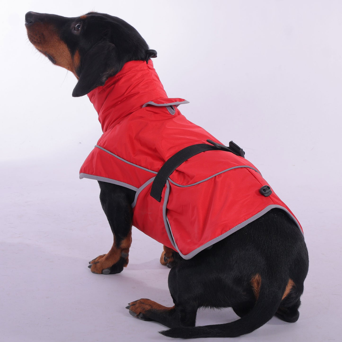 www.doxie.us-StormSafe-Dachshund-Winter-Jacket-Ultimate-Warmth-and-Rain-Protection