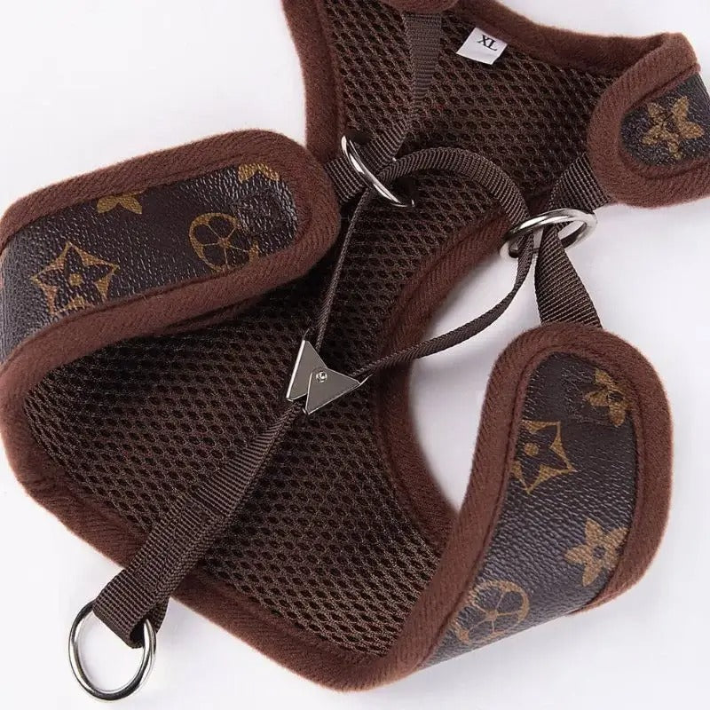 www.doxie.us-Chewy-Brown-Dachshund-Harness-and-Leash-Set