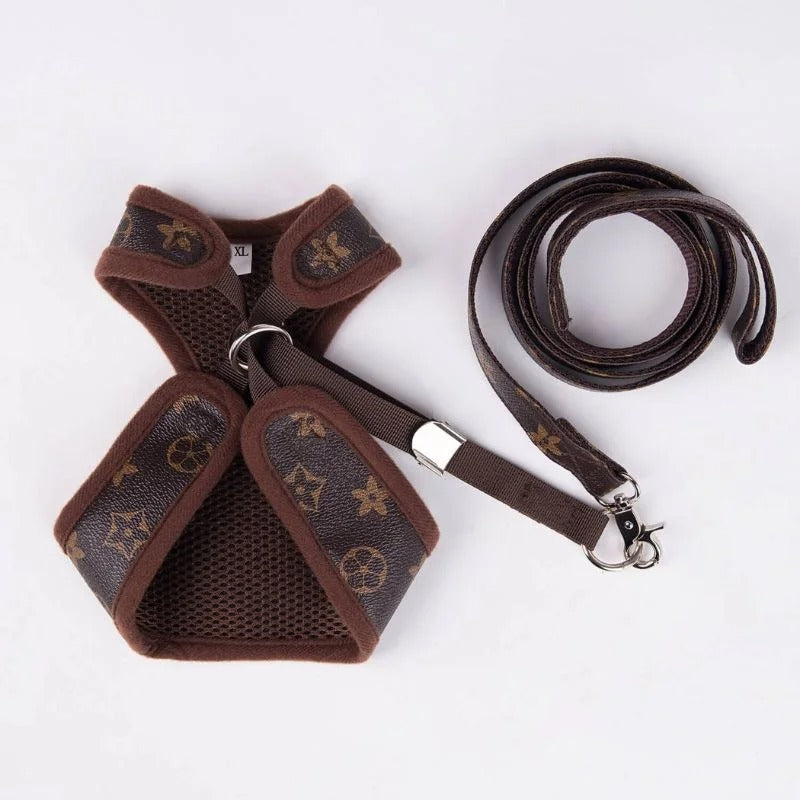 www.doxie.us-Chewy-Brown-Dachshund-Harness-and-Leash-Set