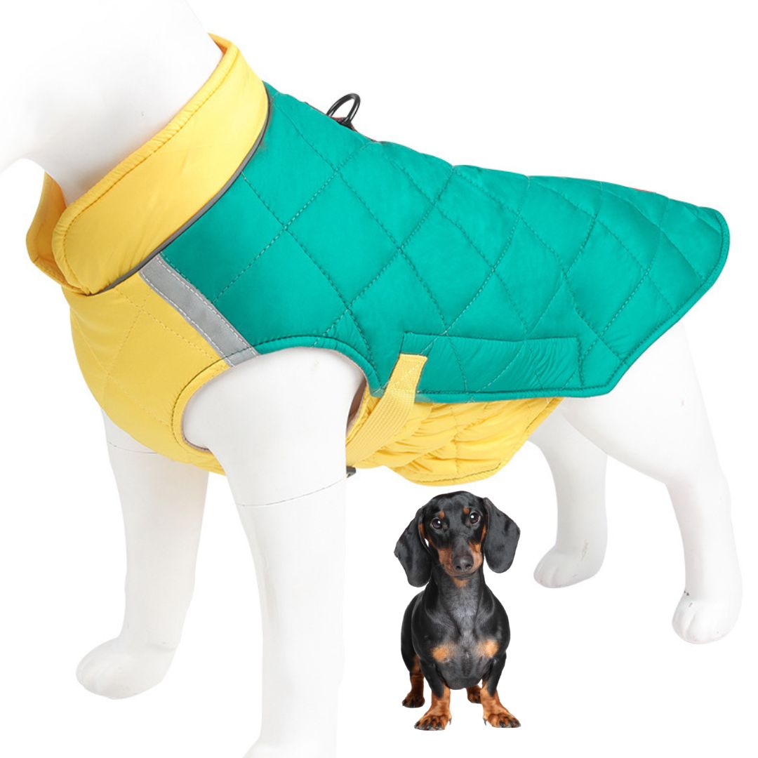 www.doxie.us-Colorblock-Dachshund-Jacket-Adjustable-Reflective-Snowsuit