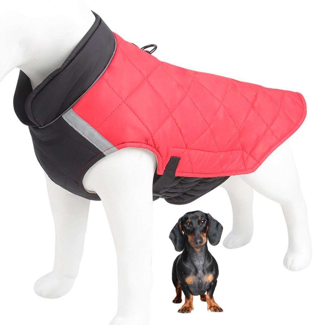 www.doxie.us-Colorblock-Dachshund-Jacket-Adjustable-Reflective-Snowsuit