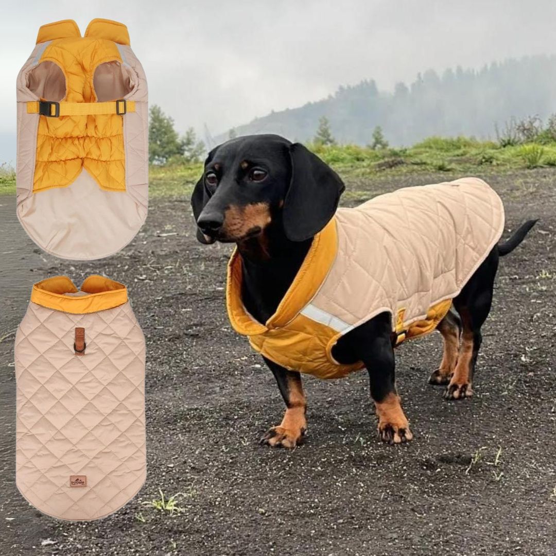 www.doxie.us-Colorblock-Dachshund-Jacket-Adjustable-Reflective-Snowsuit