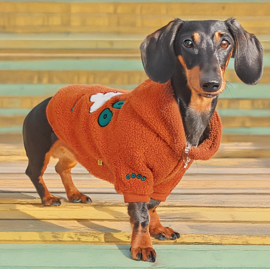 www.doxie.us-Cozy-Cotton-Padded-Dachshund-Winter-Sweater