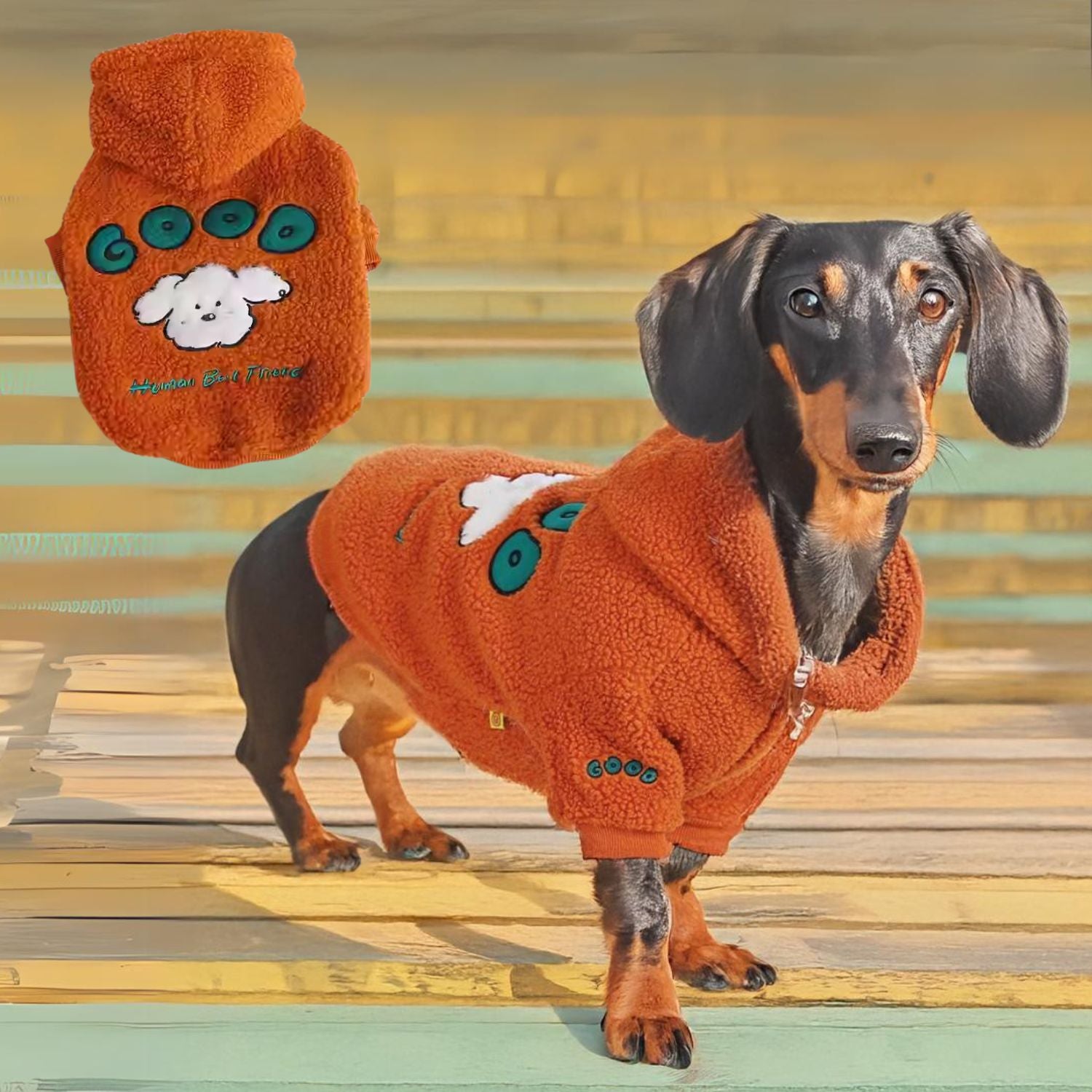 www.doxie.us-Cozy-Cotton-Padded-Dachshund-Winter-Sweater