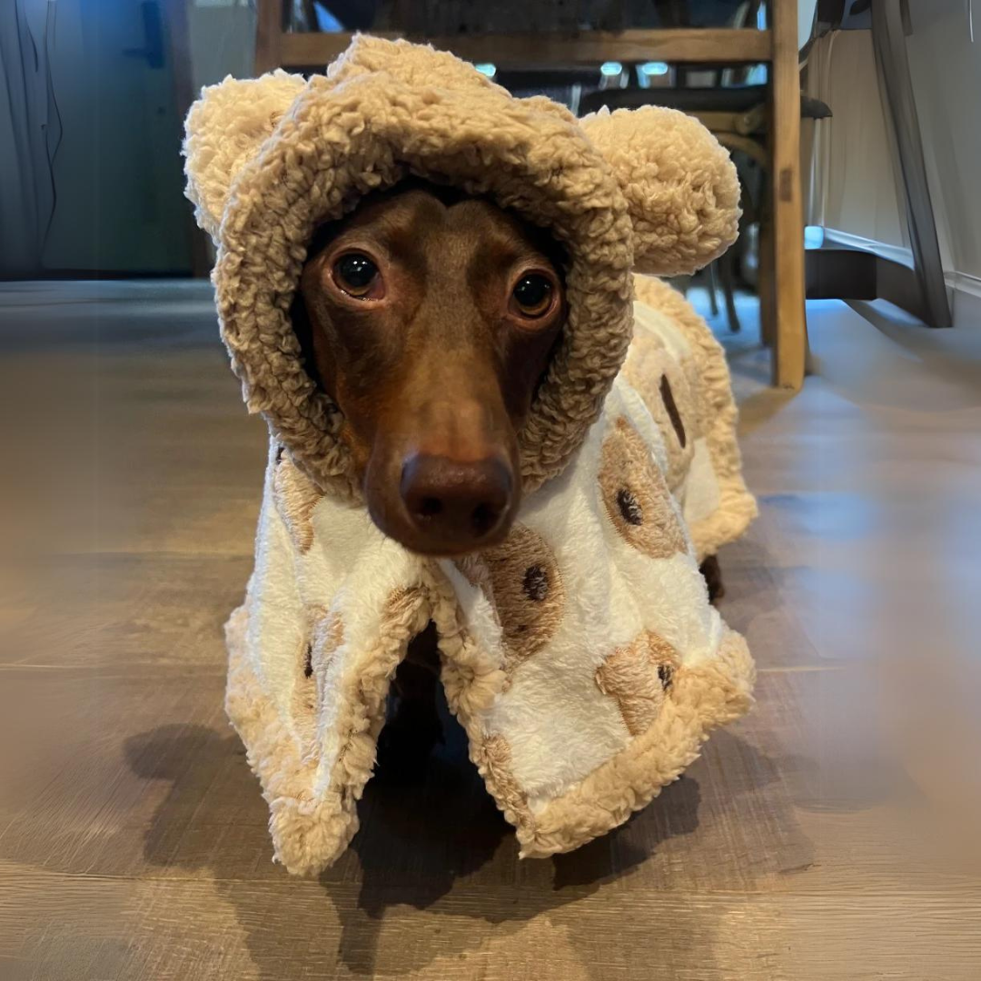 www.doxie.us-Cozy-Dachshund-Bear-Hooded-Cape-Cloak