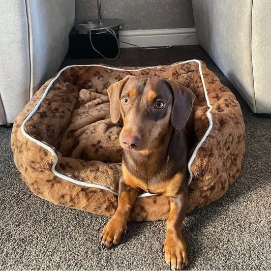 www.doxie.us-Cozy-Dachshund-Bed