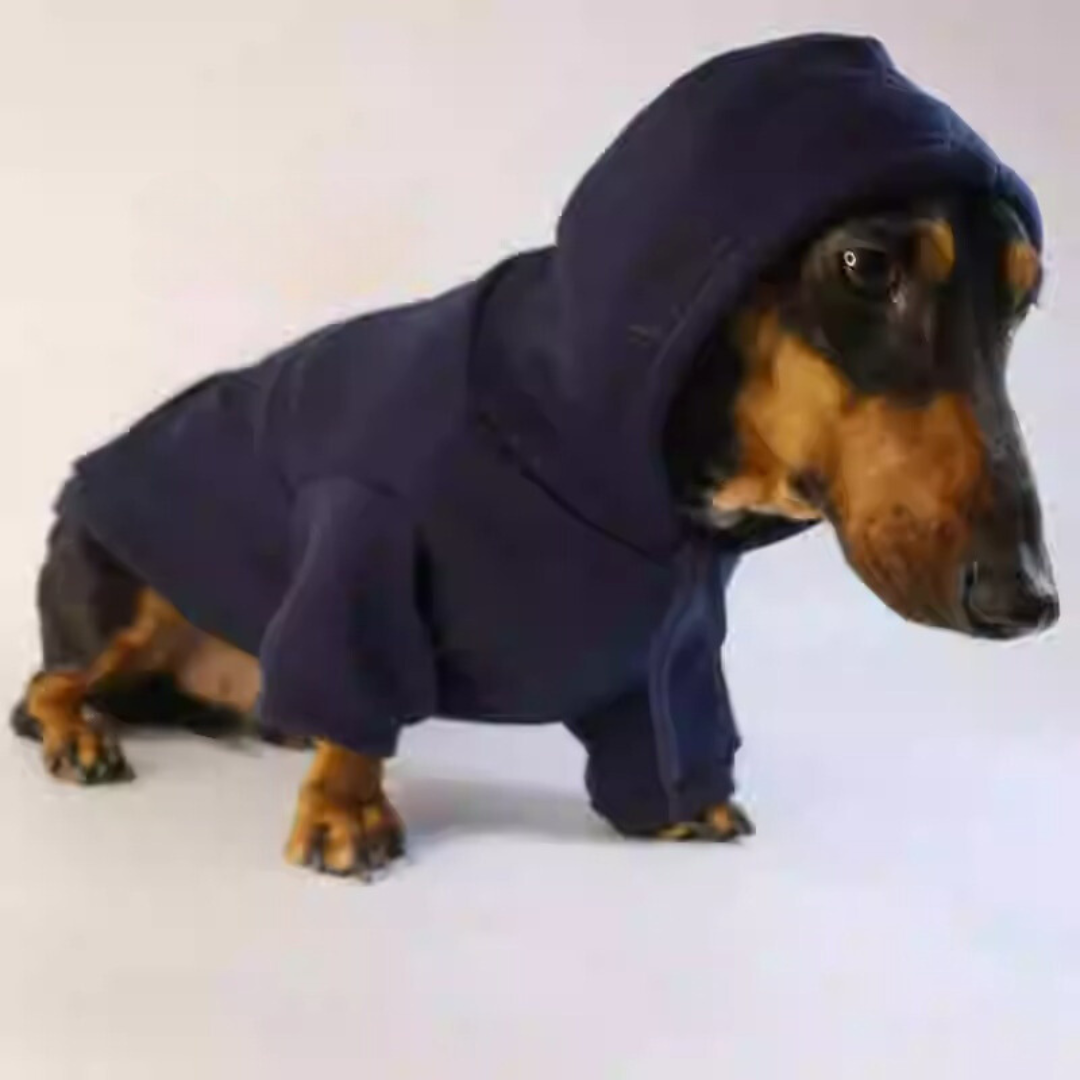 www.doxie.us-Cozy-Dachshund-Plush-Hooded-Sweater-blue