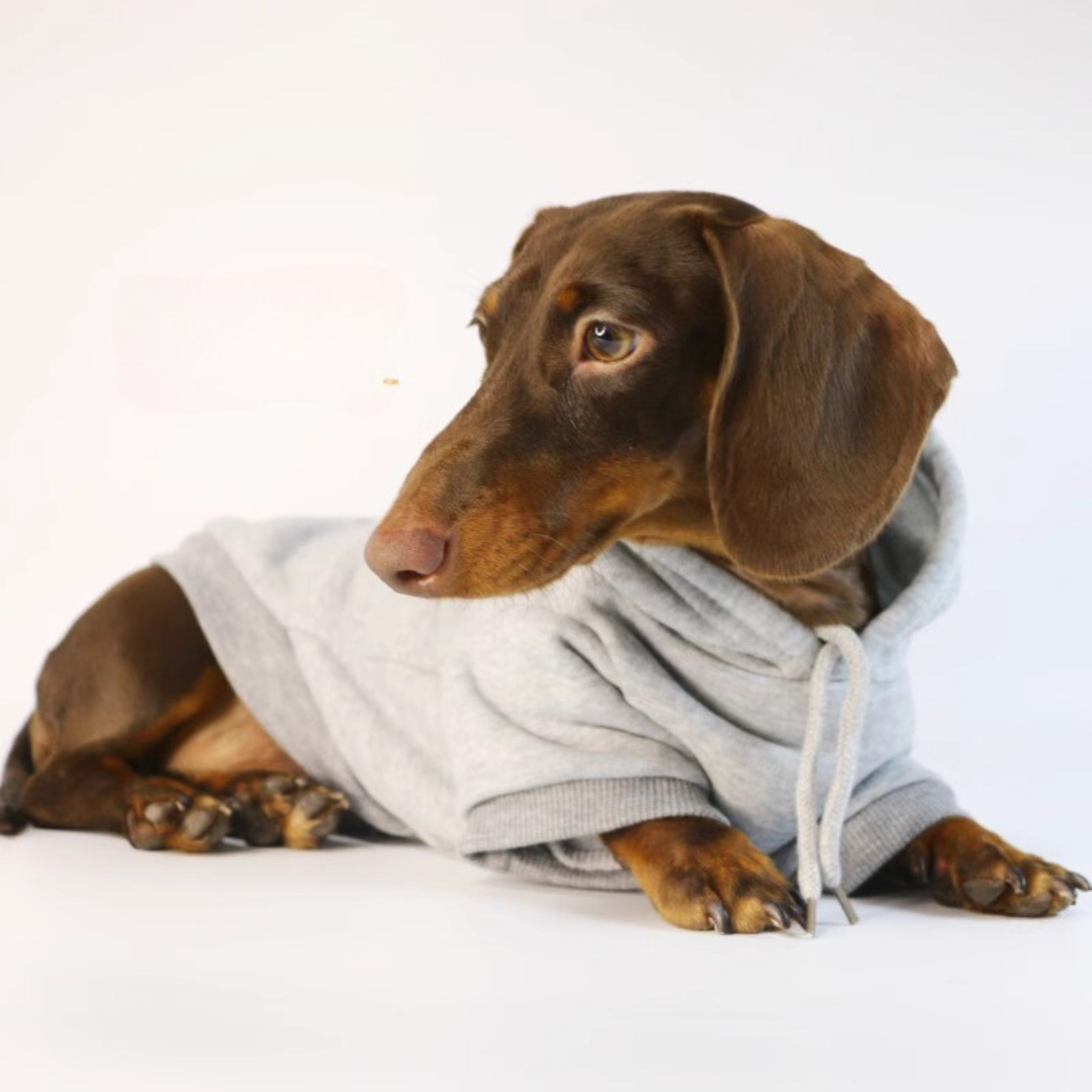 www.doxie.us-Cozy-Dachshund-Plush-Hooded-Sweater-gray-1