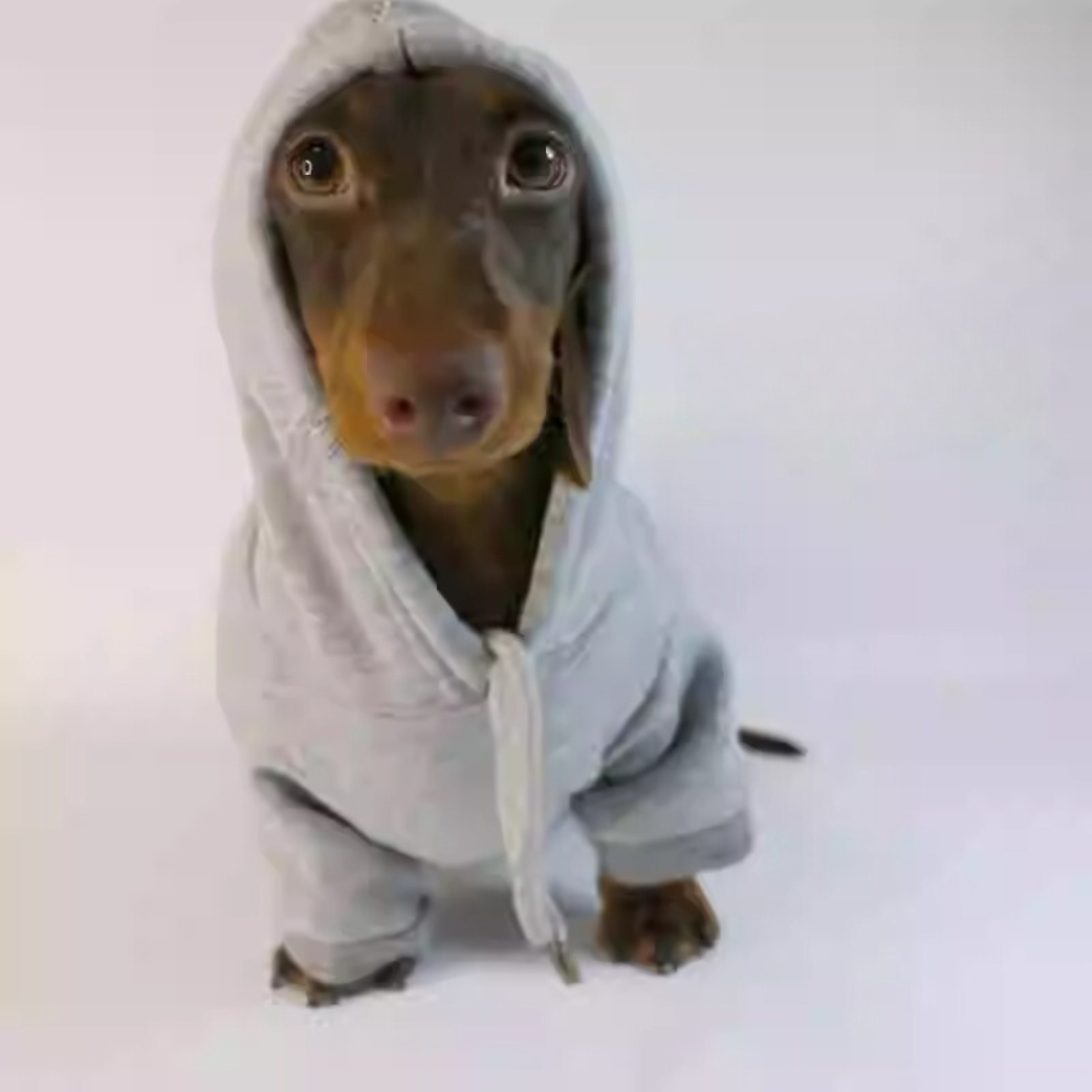 www.doxie.us-Cozy-Dachshund-Plush-Hooded-Sweater-gray