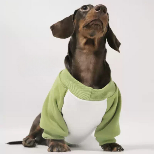 www.doxie.us-Cozy-Dachshund-Sweater-Ribbed-Collar-and-Snug-Fit