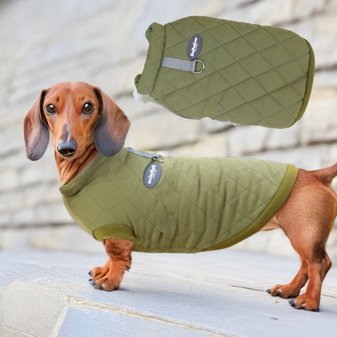 www.doxie.us-Cozy-Quilted-Dachshund-Jacket-with-Snap-Closure-green