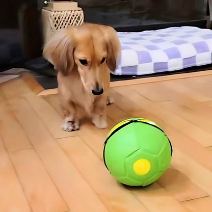 www.doxie.us-DachLite-Dachshund-Toy-Ball-with-LED-Light