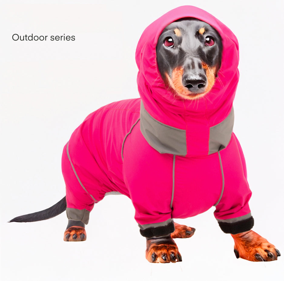 www.doxie.us-DachTrend-Breathable-Dachshund-Raincoat