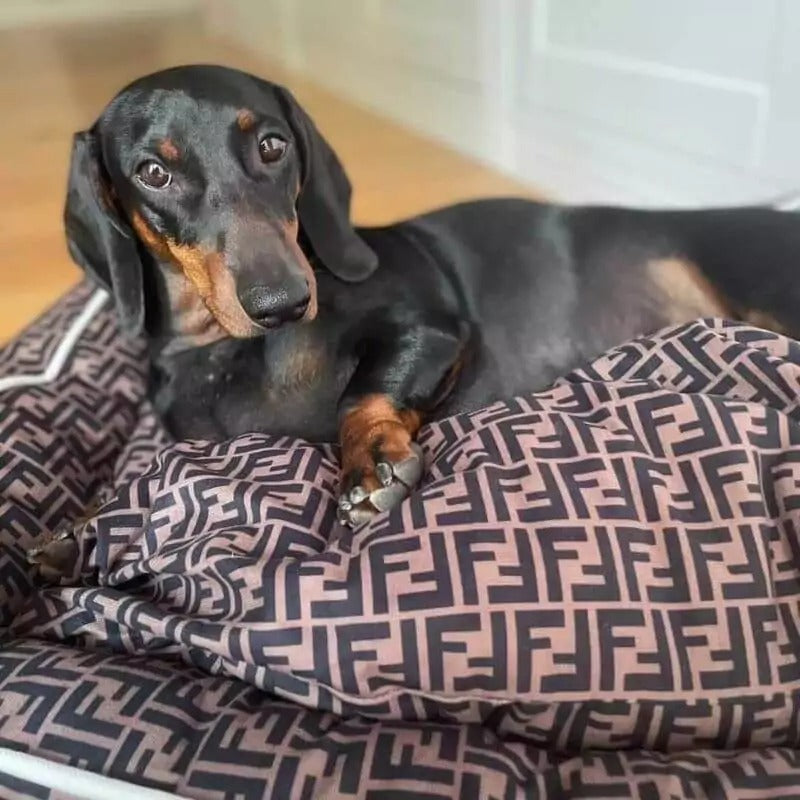 www.doxie.us-Dachshund-Fendi-Bed