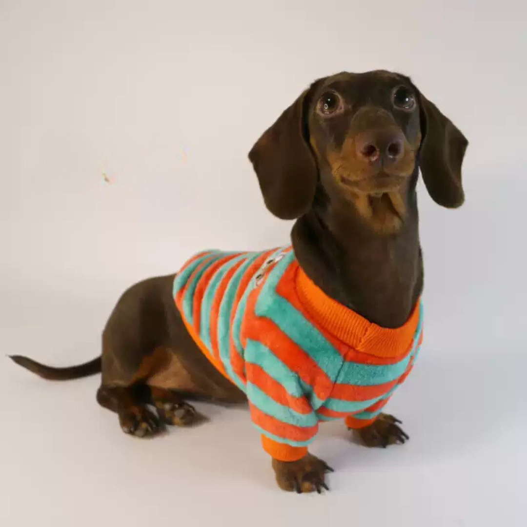 www.doxie.us-Dachshund-Fleece-Sweater-with-Stripes