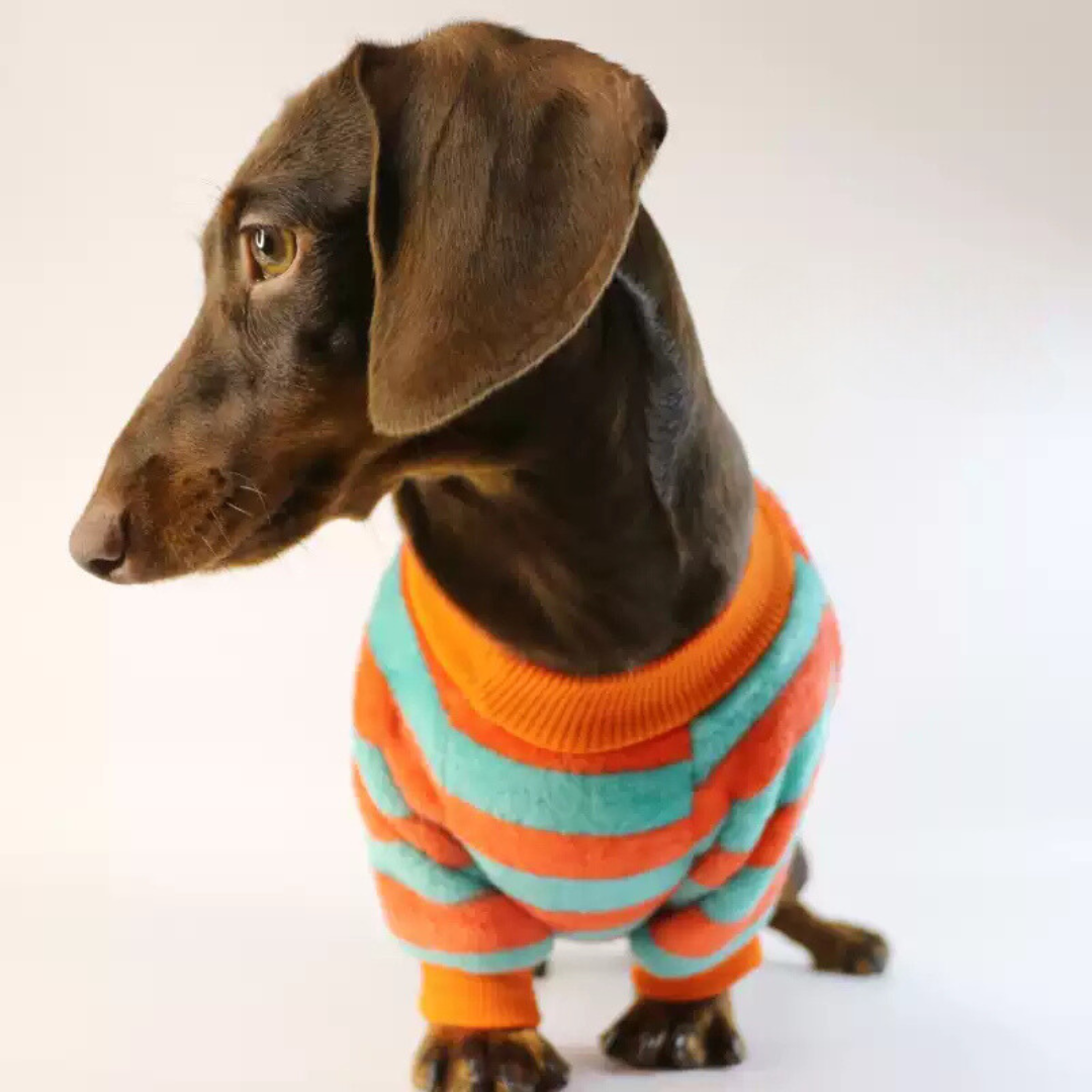 www.doxie.us-Dachshund-Fleece-Sweater-with-Stripes