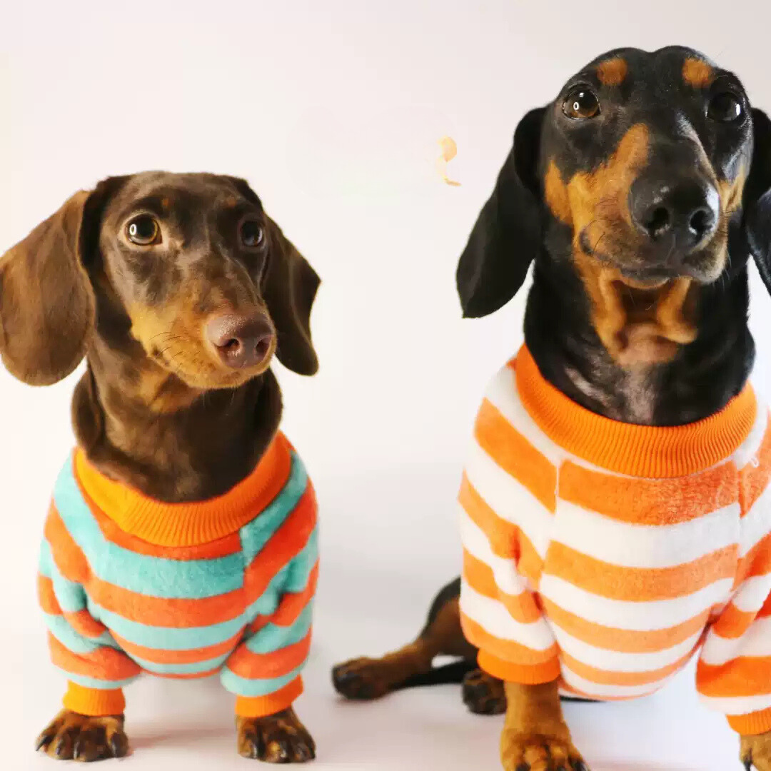 www.doxie.us-Dachshund-Fleece-Sweater-with-Stripes