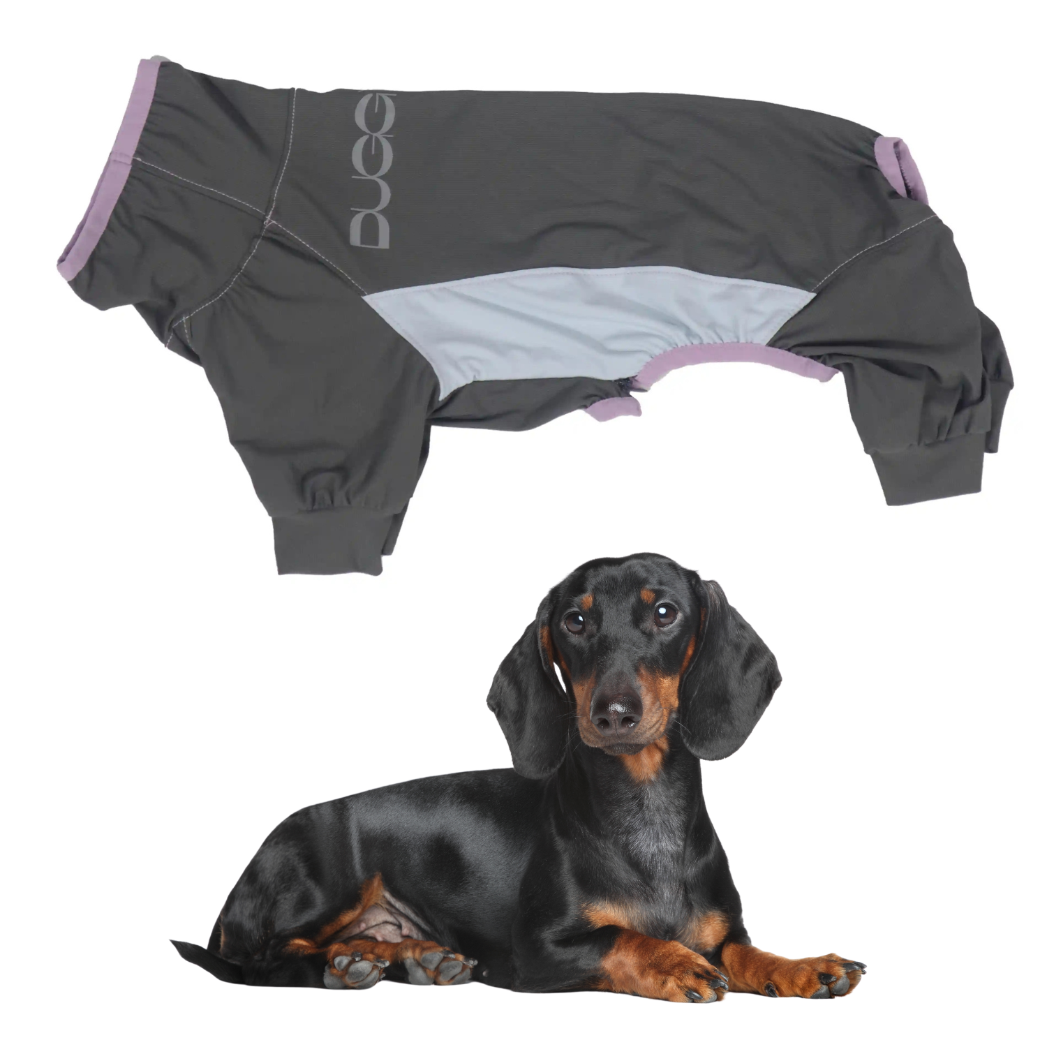 www.doxie.us-Dachshund-Full-Body-Jumpsuit-with-UV-Shield