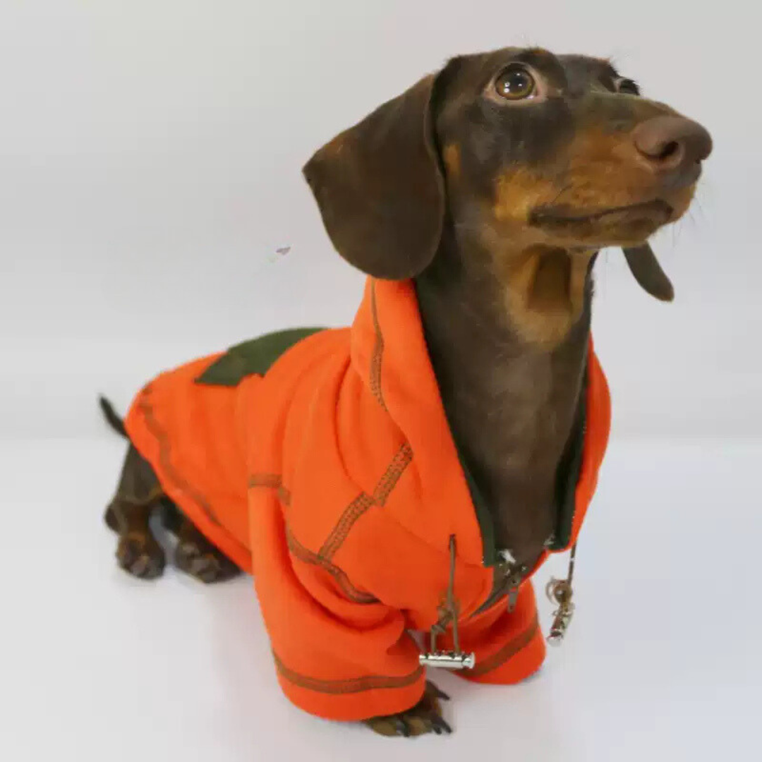 www.doxie.us-Dachshund-Hoodie-in-Vibrant-Orange