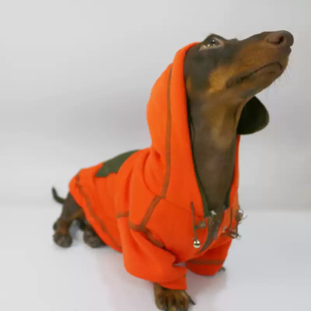 www.doxie.us-Dachshund-Hoodie-in-Vibrant-Orange