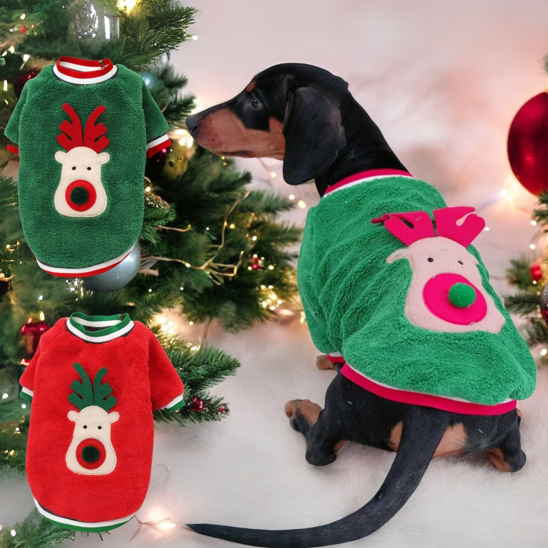 www.doxie.us-Doxie-Coral-Fleece-Christmas-Sweater-Festive-Reindeer-Holiday-Apparel-for-Dachshund