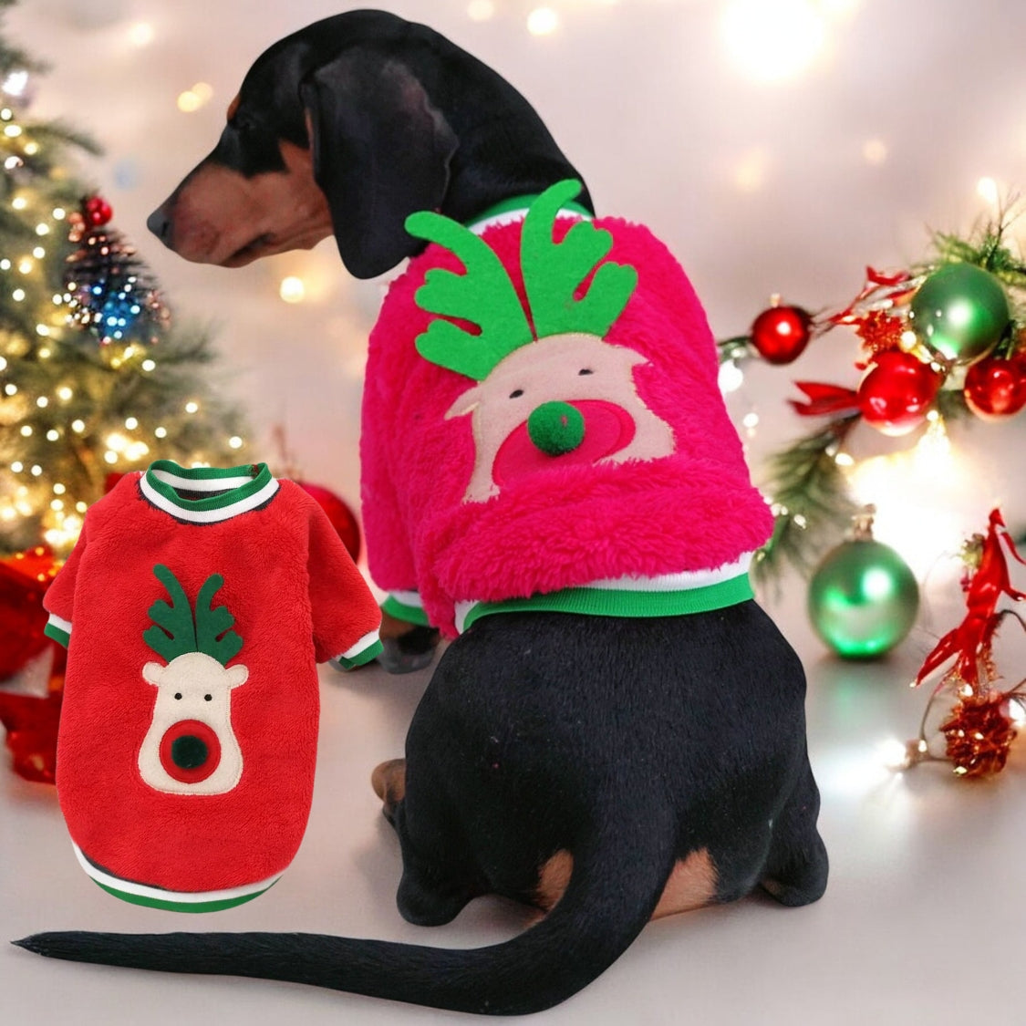 www.doxie.us-Doxie-Coral-Fleece-Christmas-Sweater-Festive-Reindeer-Holiday-Apparel-for-Dachshund