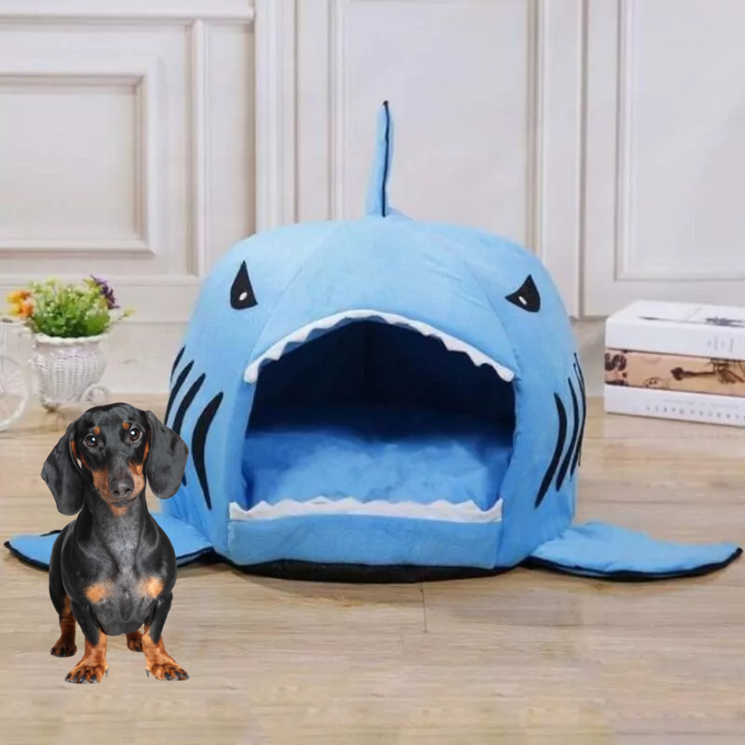 www.doxie.us-Doxie-Shark-Bed-Unique-Shark-Design-for-Ultimate-Dachshund-Comfort