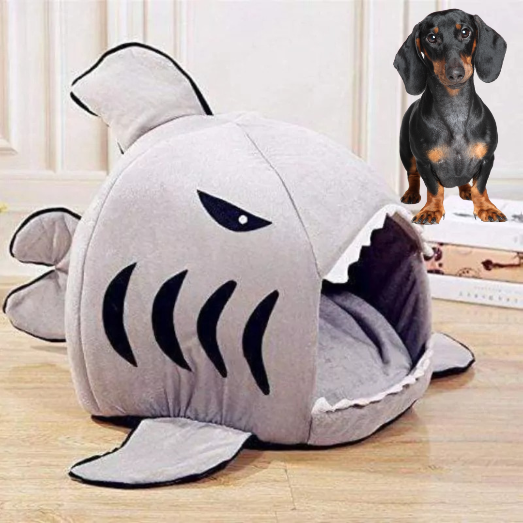 www.doxie.us-Doxie-Shark-Bed-Unique-Shark-Design-for-Ultimate-Dachshund-Comfort