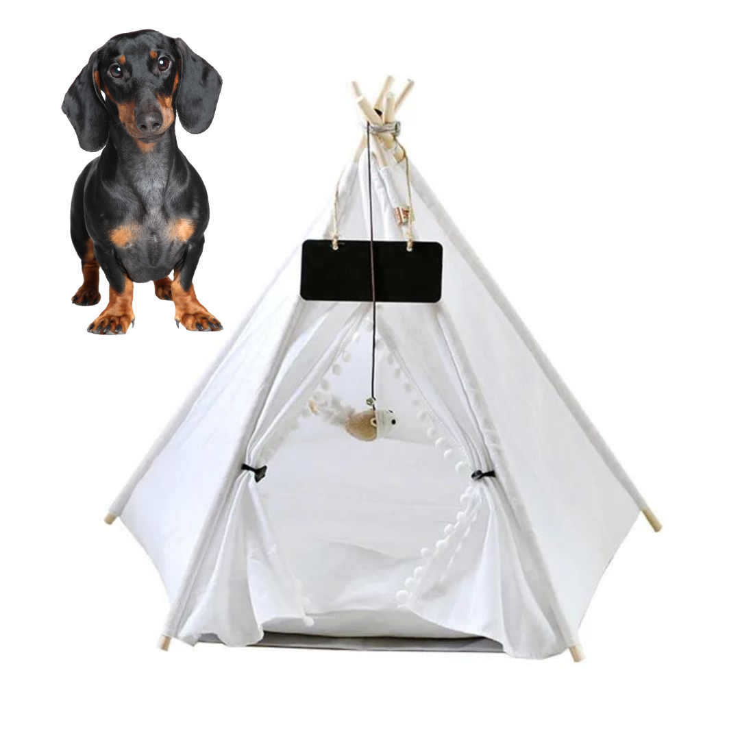 www.doxie.us-Doxie-Tent-House-Teepee-Bed-Cozy-Dachshund-Hideaway