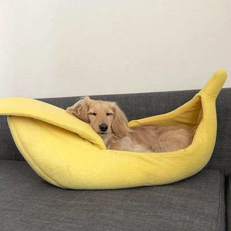 www.doxie.us-DoxieNest-Dachshund-Banana-Bed