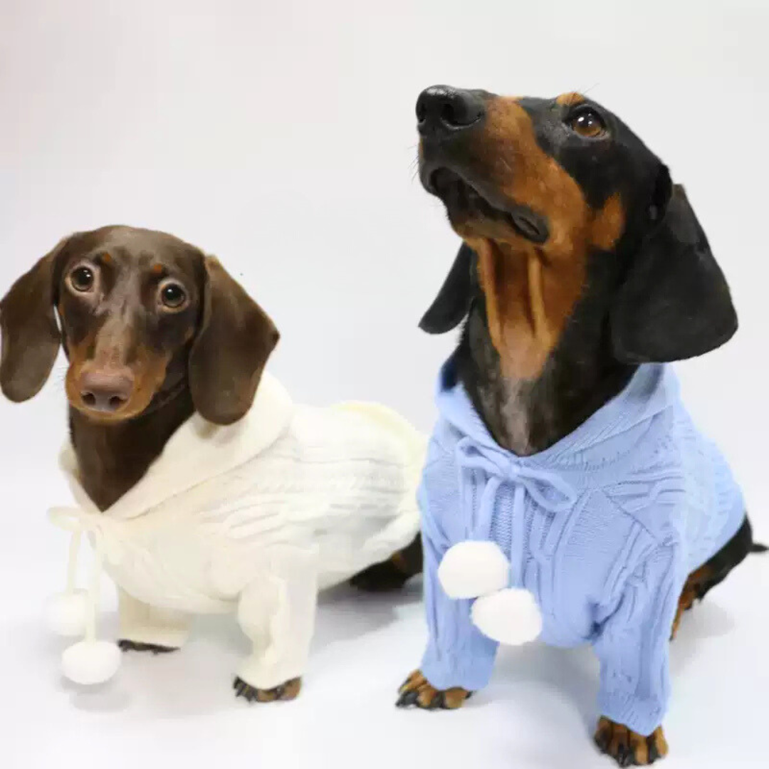 www.doxie.us-HoodPup-Dachshund-Two-Legged-Hooded-Sweater