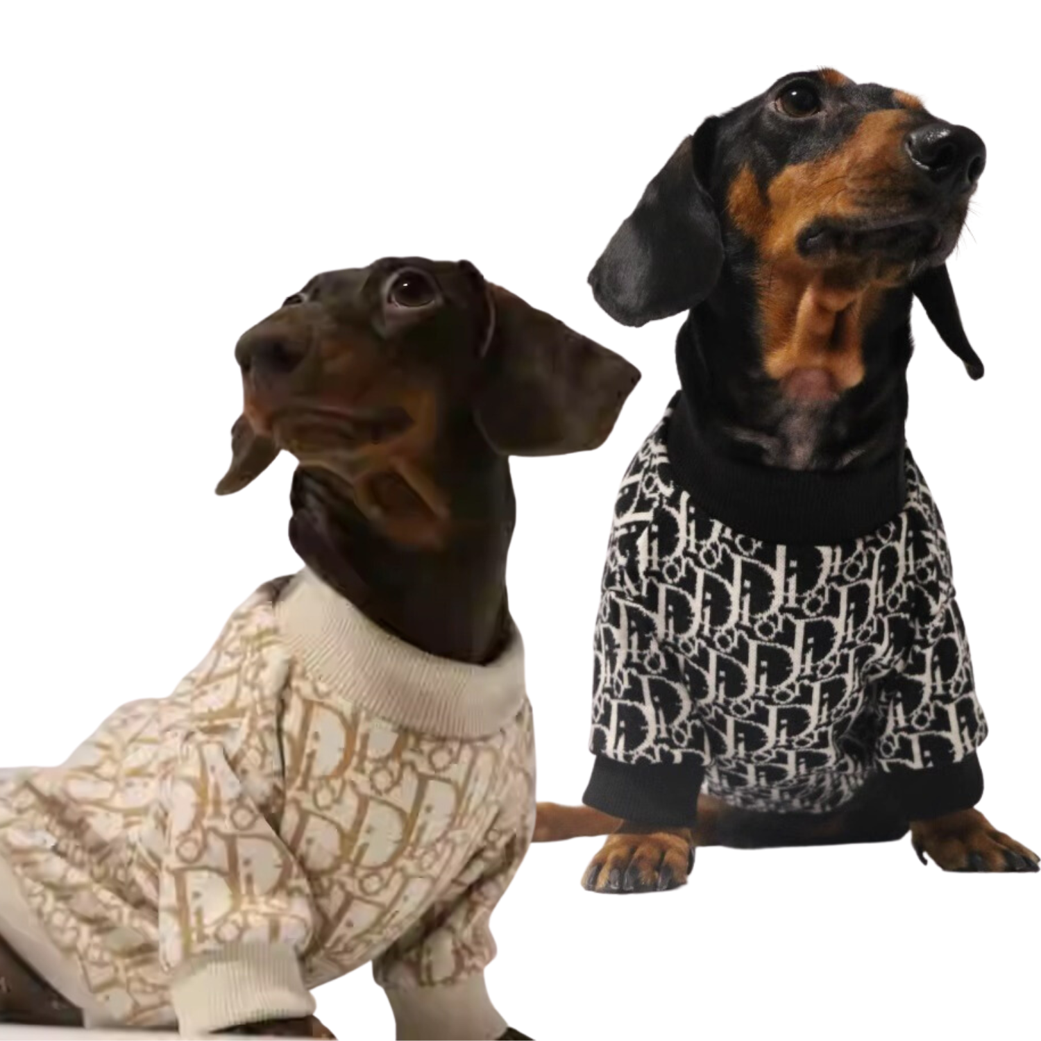 www.doxie.us-Luxurious-Dachshund-Knitted-Sweater