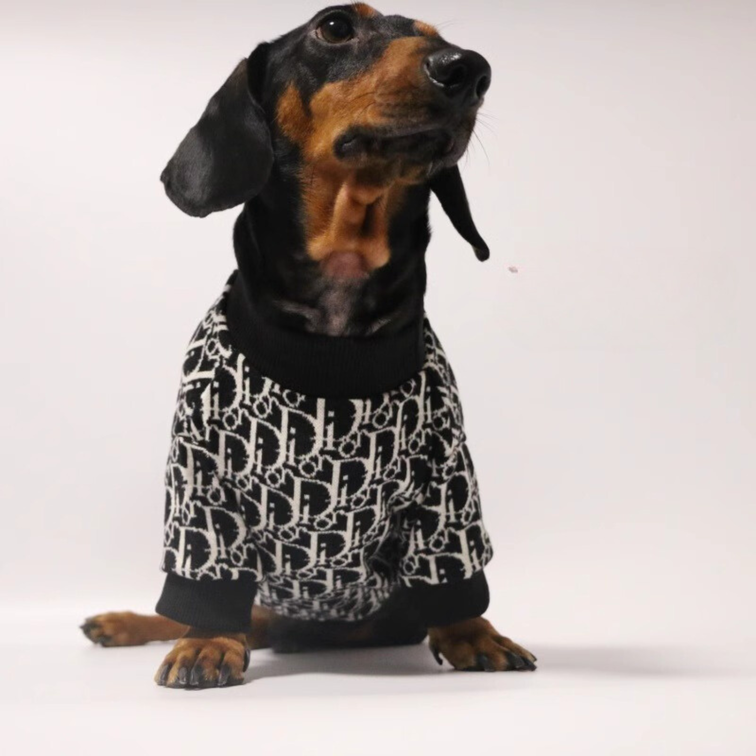 www.doxie.us-Luxurious-Dachshund-Knitted-Sweater