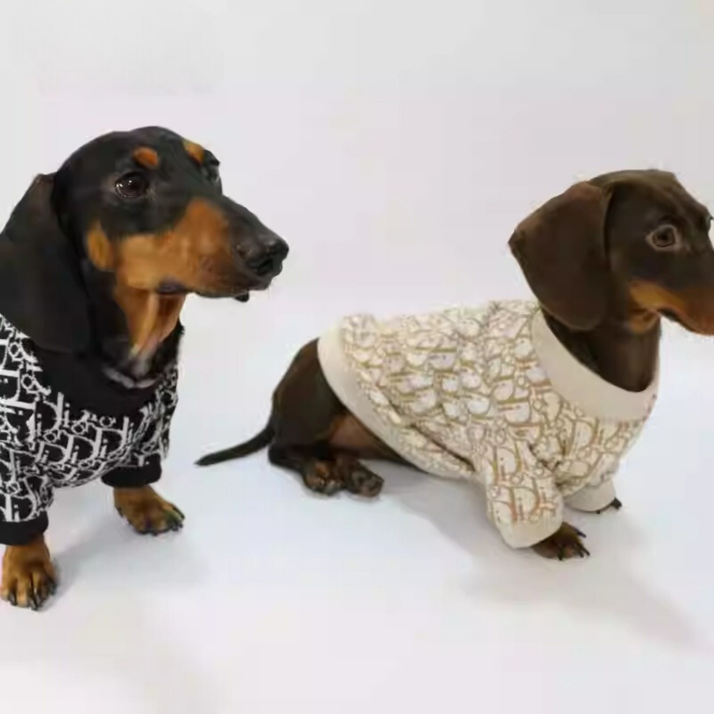 www.doxie.us-Luxurious-Dachshund-Knitted-Sweater