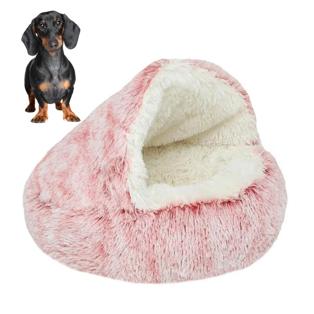 www.doxie.us-Luxury-Dachshund-Cave-Bed