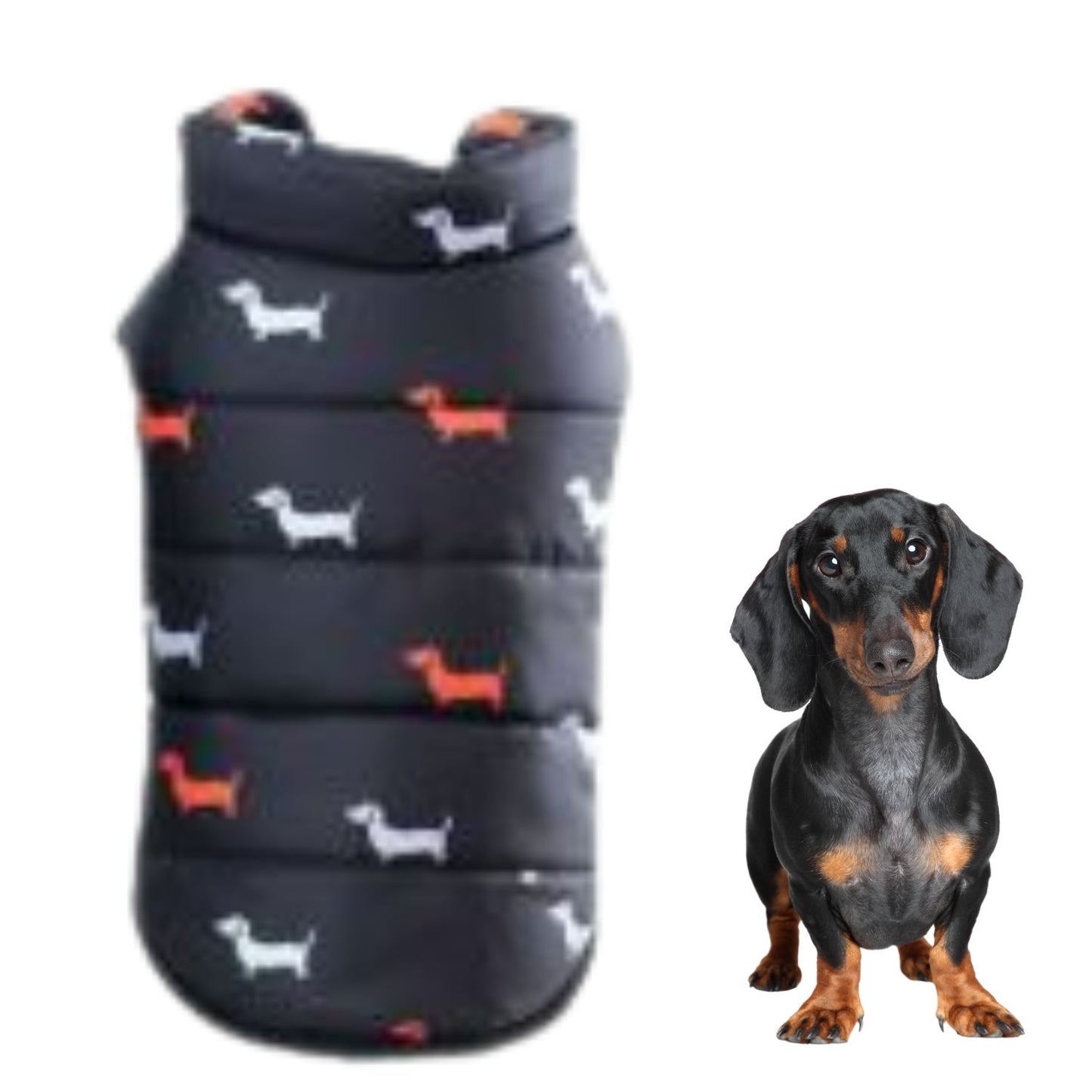 www.doxie.us-NexaLeaf-Warm-Puffer-Jacket-for-Dachshunds