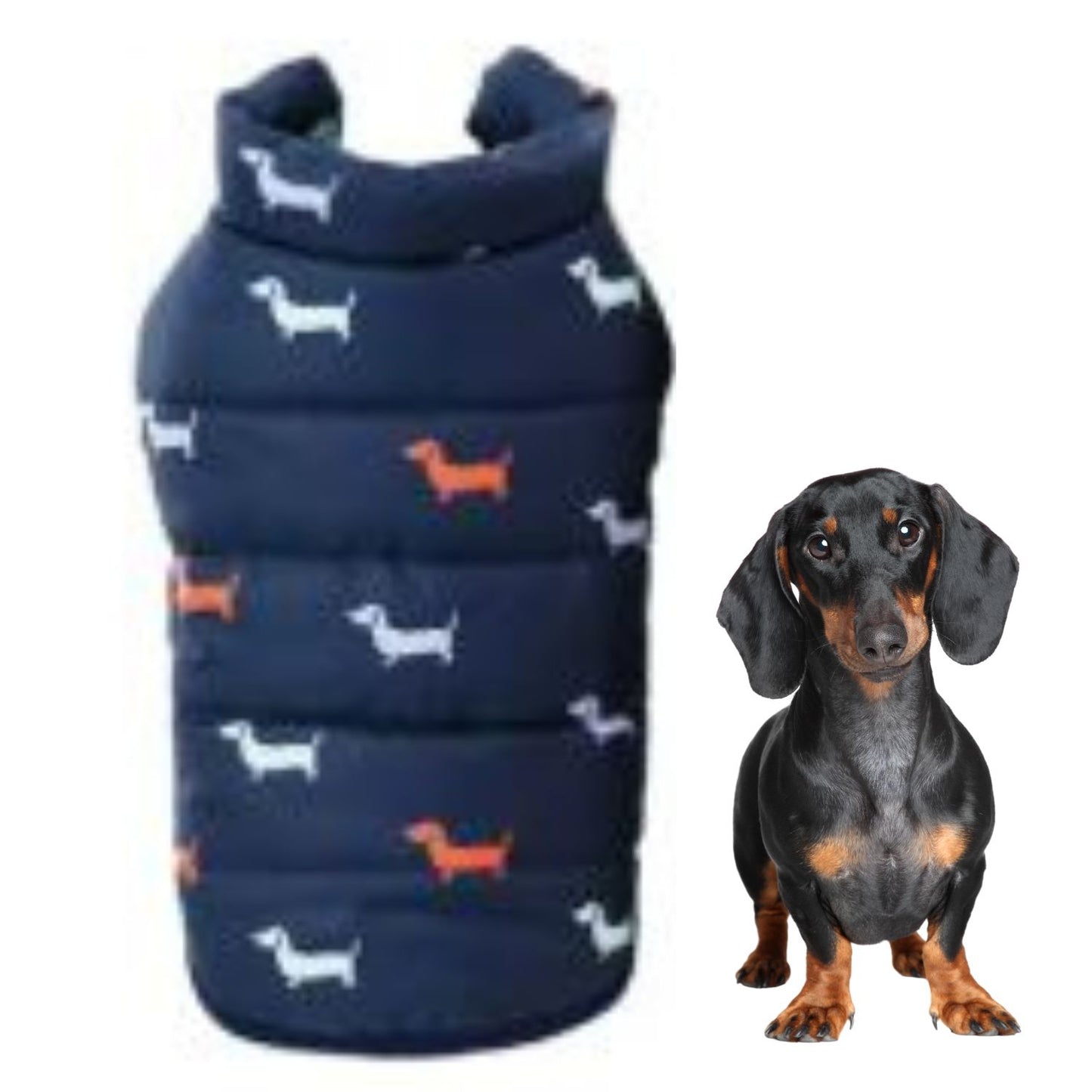 www.doxie.us-NexaLeaf-Warm-Puffer-Jacket-for-Dachshunds