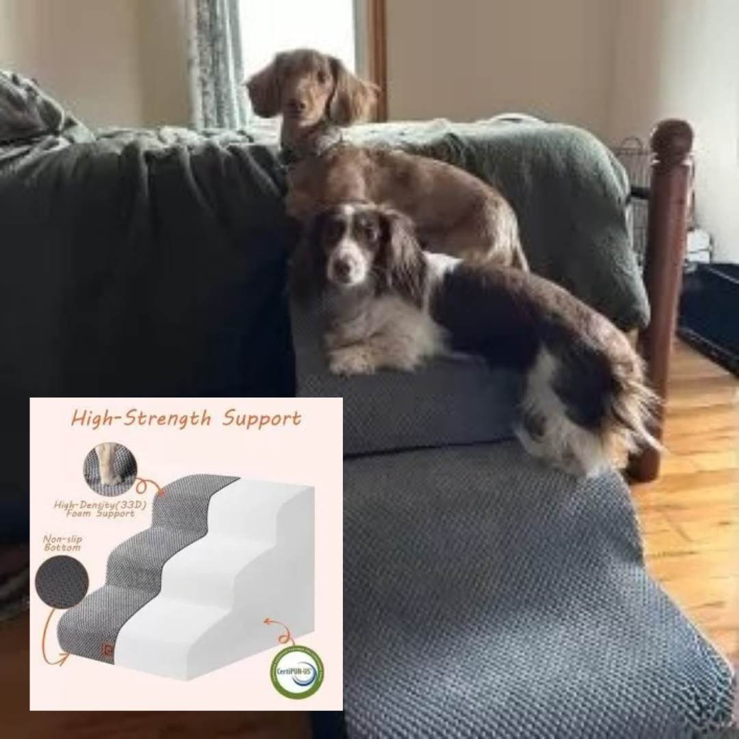 www.doxie.us-PawElevate-Dachshund-Anti-Slip-Pet-Stairs