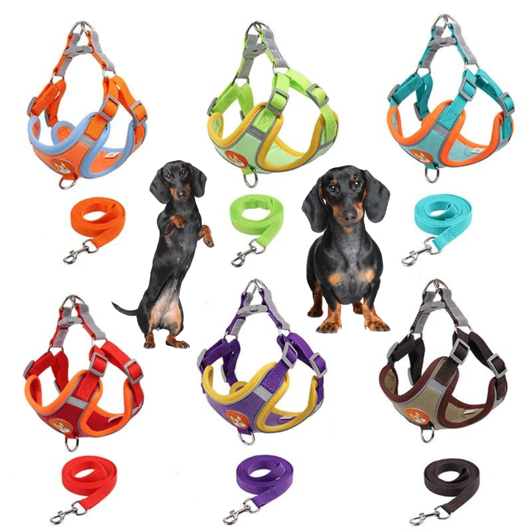 www.doxie.us-PawStride-Doxie-Reflective-Harness-&-Leash