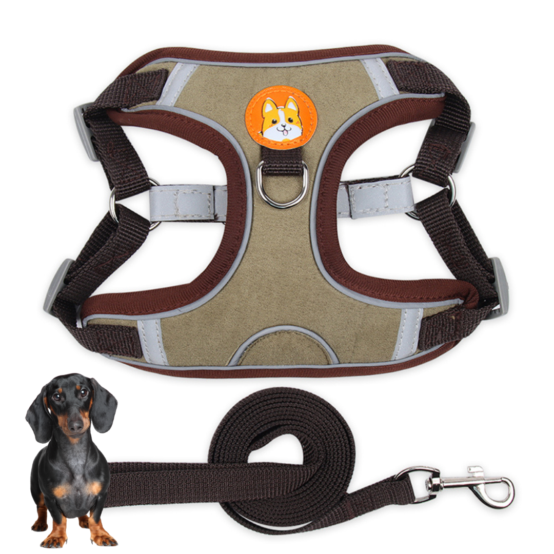 www.doxie.us-PawStride-Doxie-Reflective-Harness-&-Leash